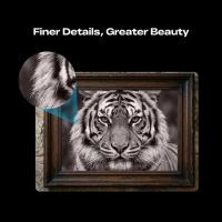 Precisione incisione ultra fine Creality Falcon T1