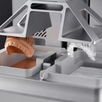 Anycubic Photon P1 doppio materiale