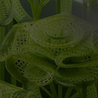 Anycubic Photon P1 precisione strato