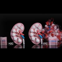 Riduzione della purga Bambu Lab H2C