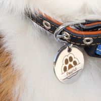 Incisione e taglio ad alta risoluzione su H2C Combo