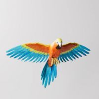 Scansioni a colori Miraco Plus